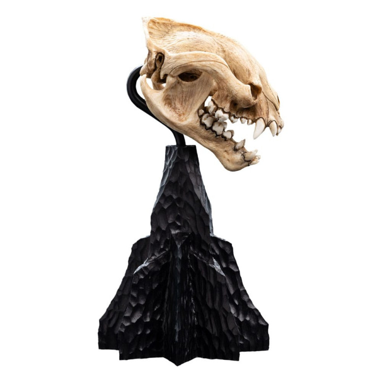 Weta - The Lord of the Rings - Skull of Warg - LOTR