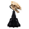 Weta - The Lord of the Rings - Skull of Warg - LOTR