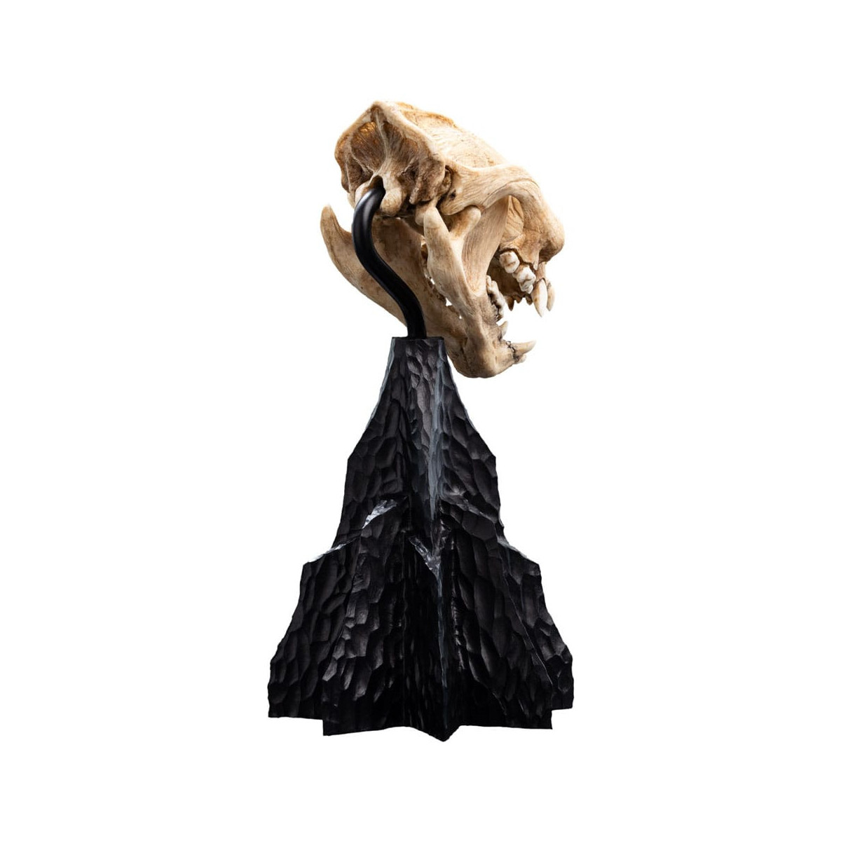 Weta - The Lord of the Rings - Skull of Warg - LOTR