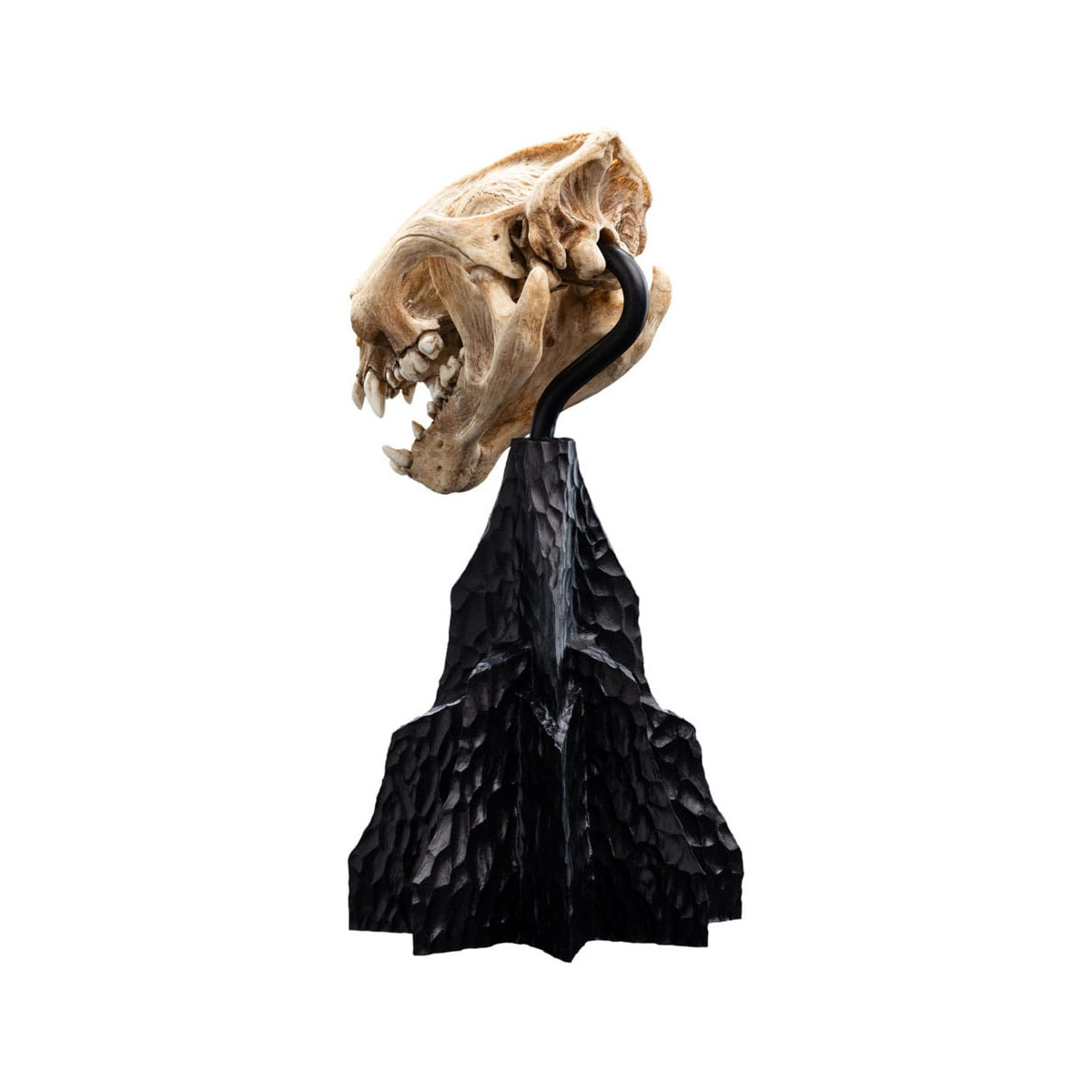 Weta - The Lord of the Rings - Skull of Warg - LOTR