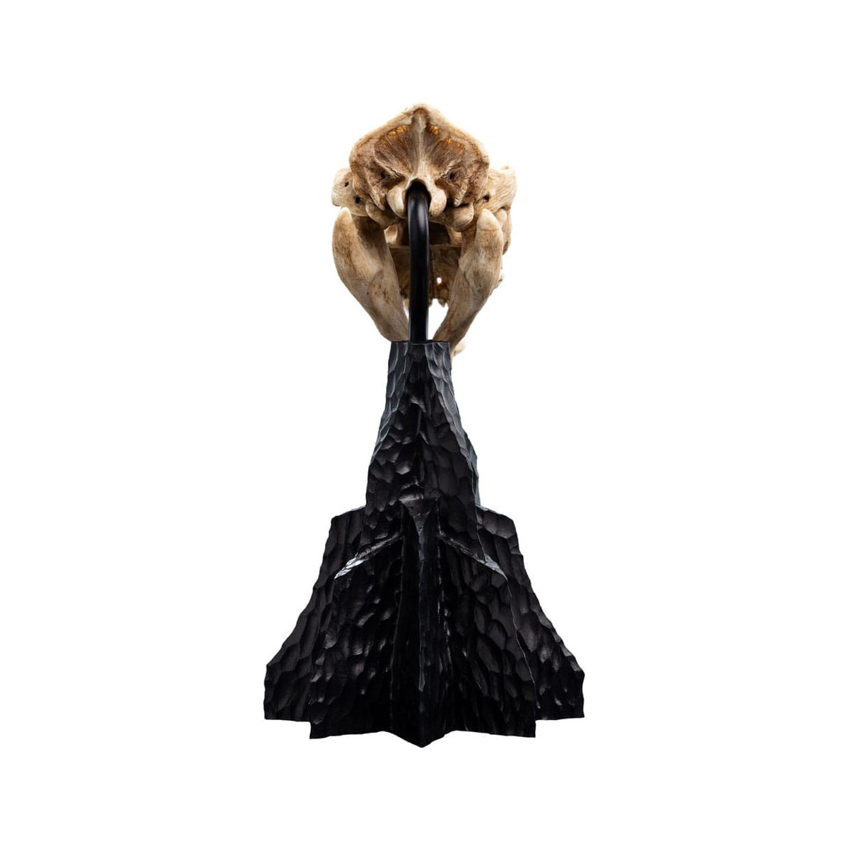 Weta - The Lord of the Rings - Skull of Warg - LOTR