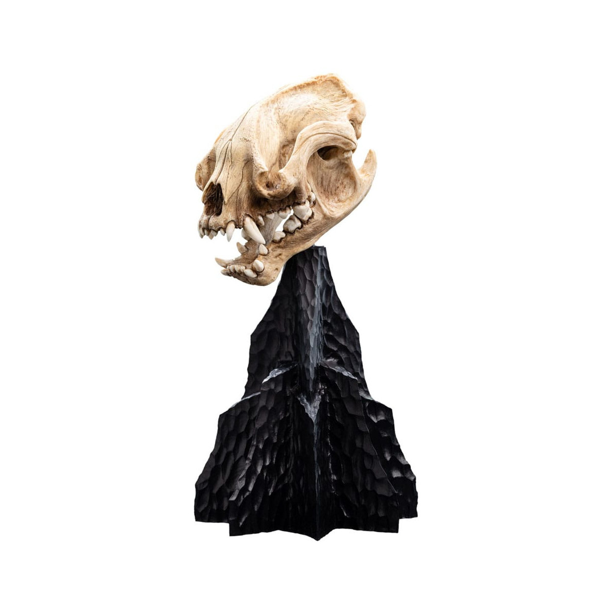 Weta - The Lord of the Rings - Skull of Warg - LOTR