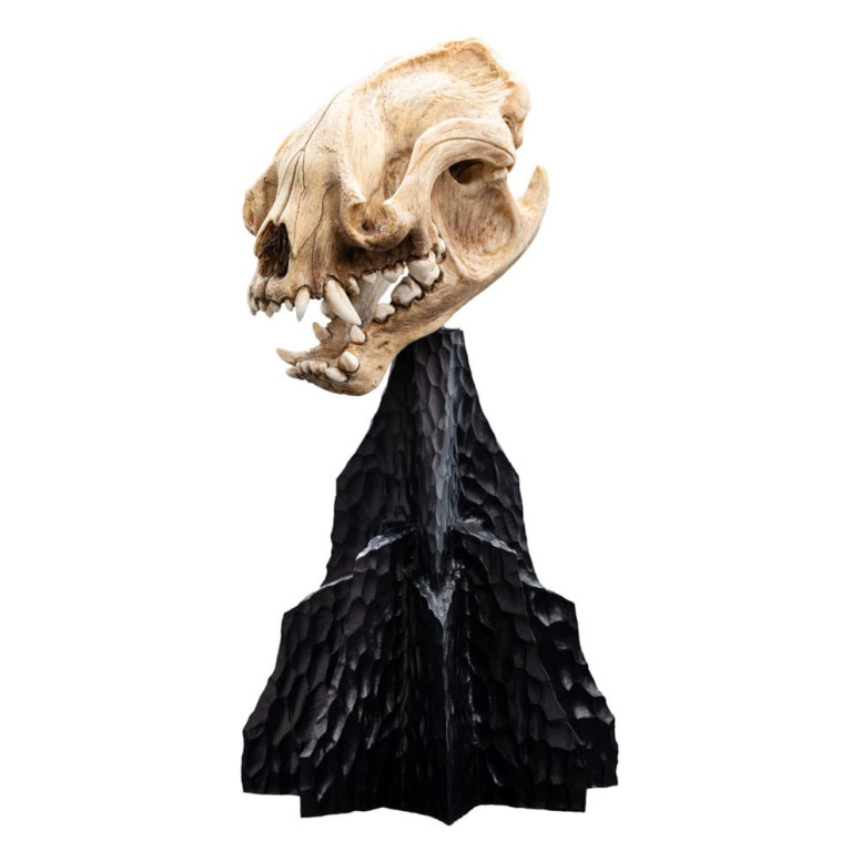 Weta - The Lord of the Rings - Skull of Warg - LOTR