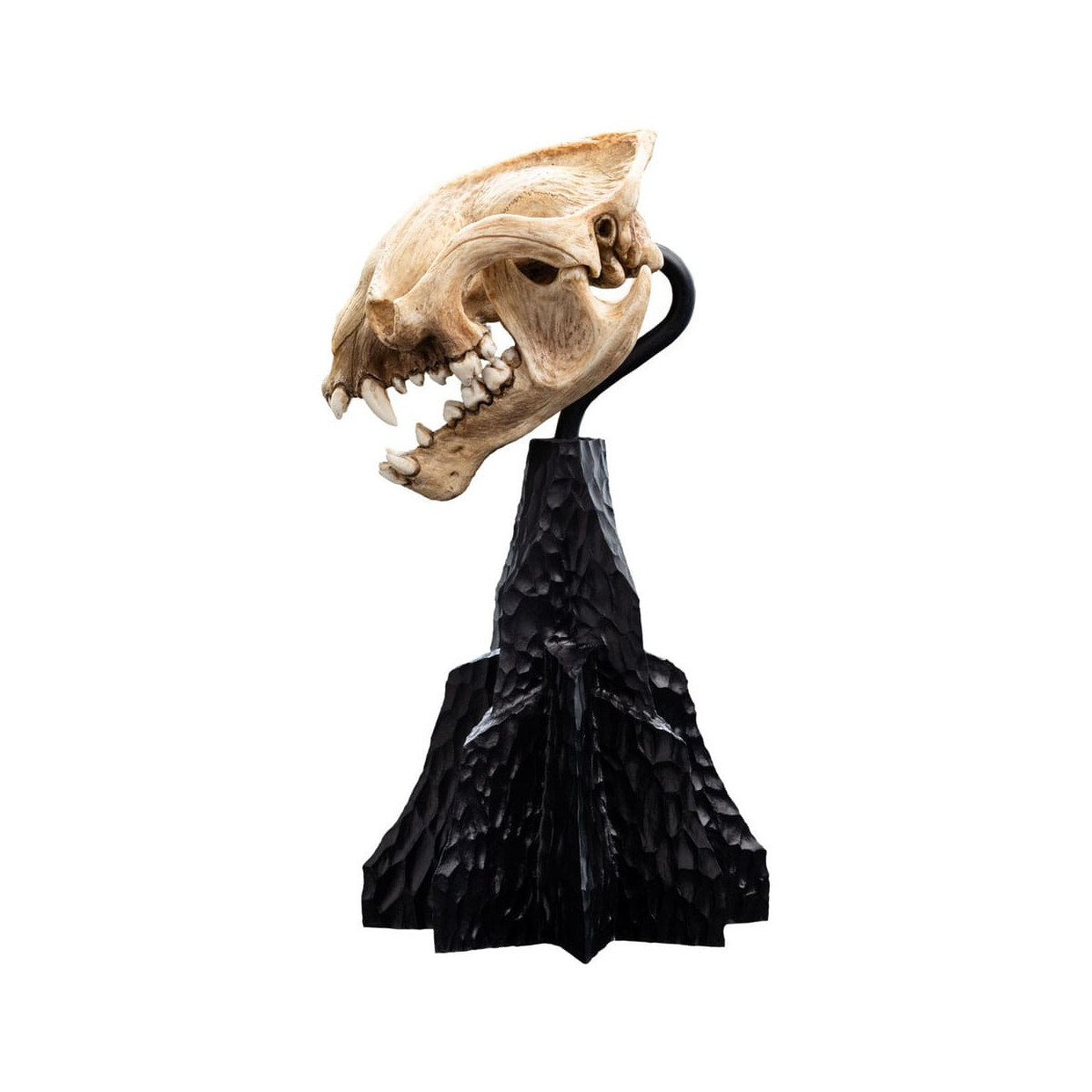 Weta - The Lord of the Rings - Skull of Warg - LOTR
