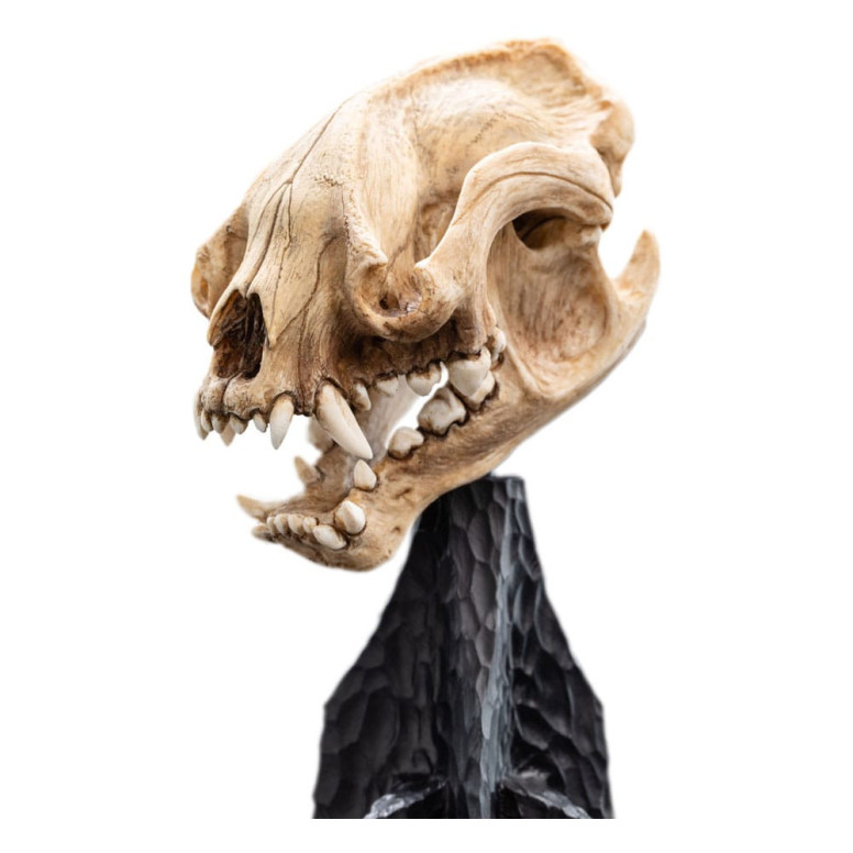 Weta - The Lord of the Rings - Skull of Warg - LOTR