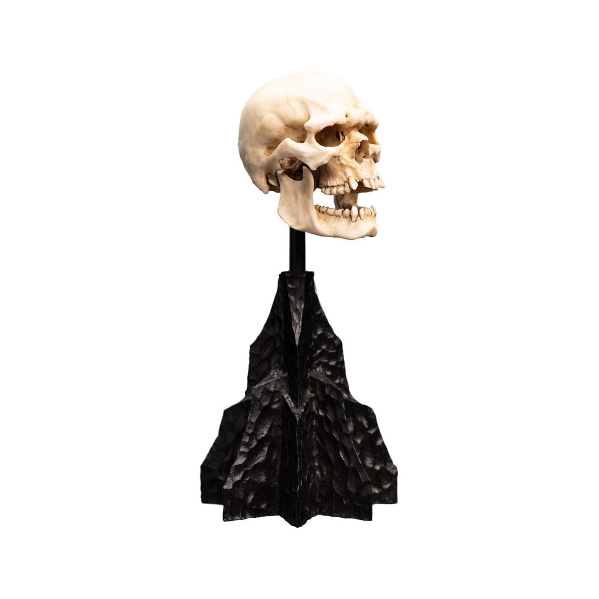 Weta - The Lord of the Rings - Skull of a Mordor Orc - LOTR
