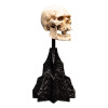 Weta - The Lord of the Rings - Skull of a Mordor Orc - LOTR