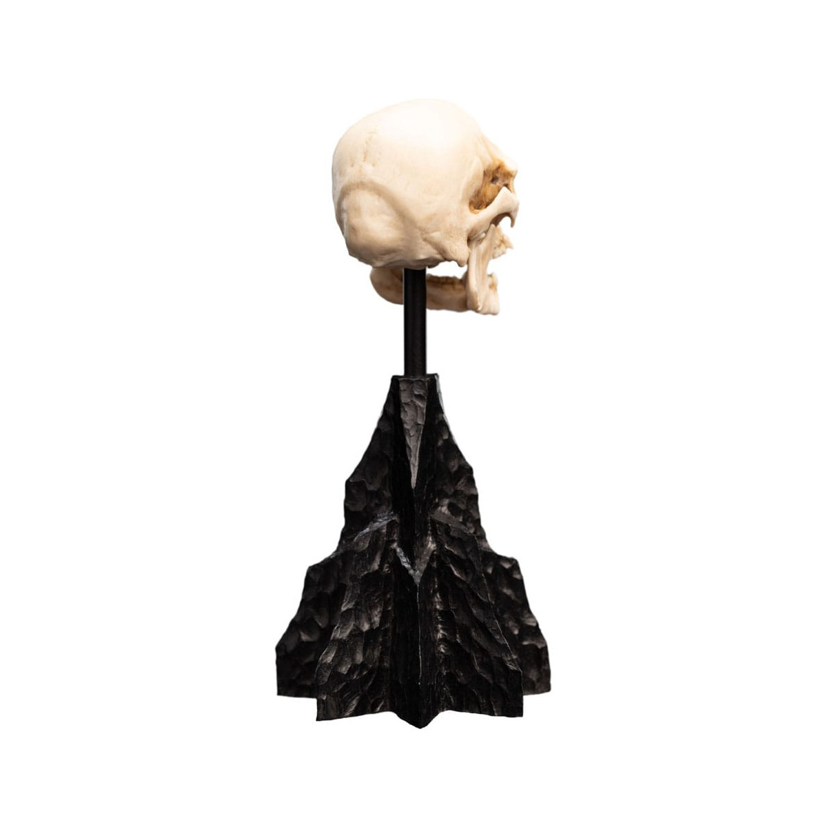 Weta - The Lord of the Rings - Skull of a Mordor Orc - LOTR