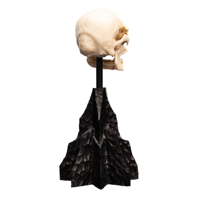 Weta - The Lord of the Rings - Skull of a Mordor Orc - LOTR