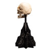 Weta - The Lord of the Rings - Skull of a Mordor Orc - LOTR