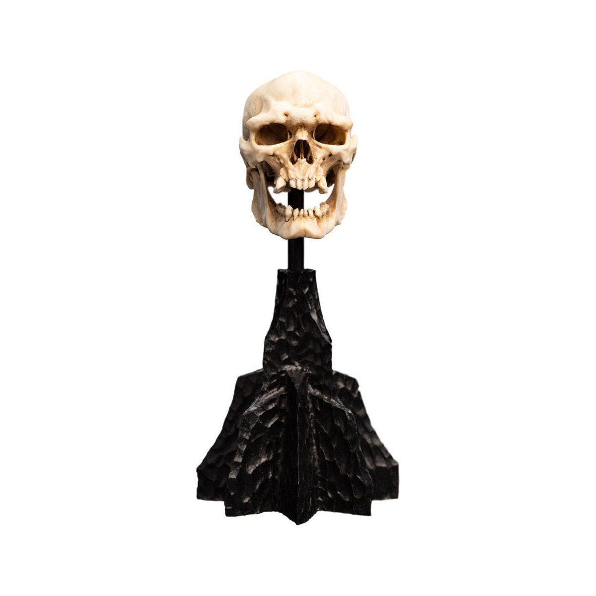 Weta - The Lord of the Rings - Skull of a Mordor Orc - LOTR