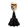 Weta - The Lord of the Rings - Skull of a Mordor Orc - LOTR