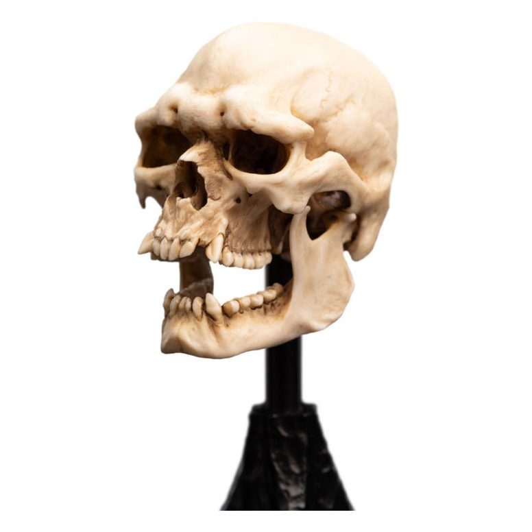 Weta - The Lord of the Rings - Skull of a Mordor Orc - LOTR