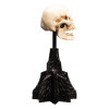 Weta - The Lord of the Rings - Skull of a Mordor Orc - LOTR