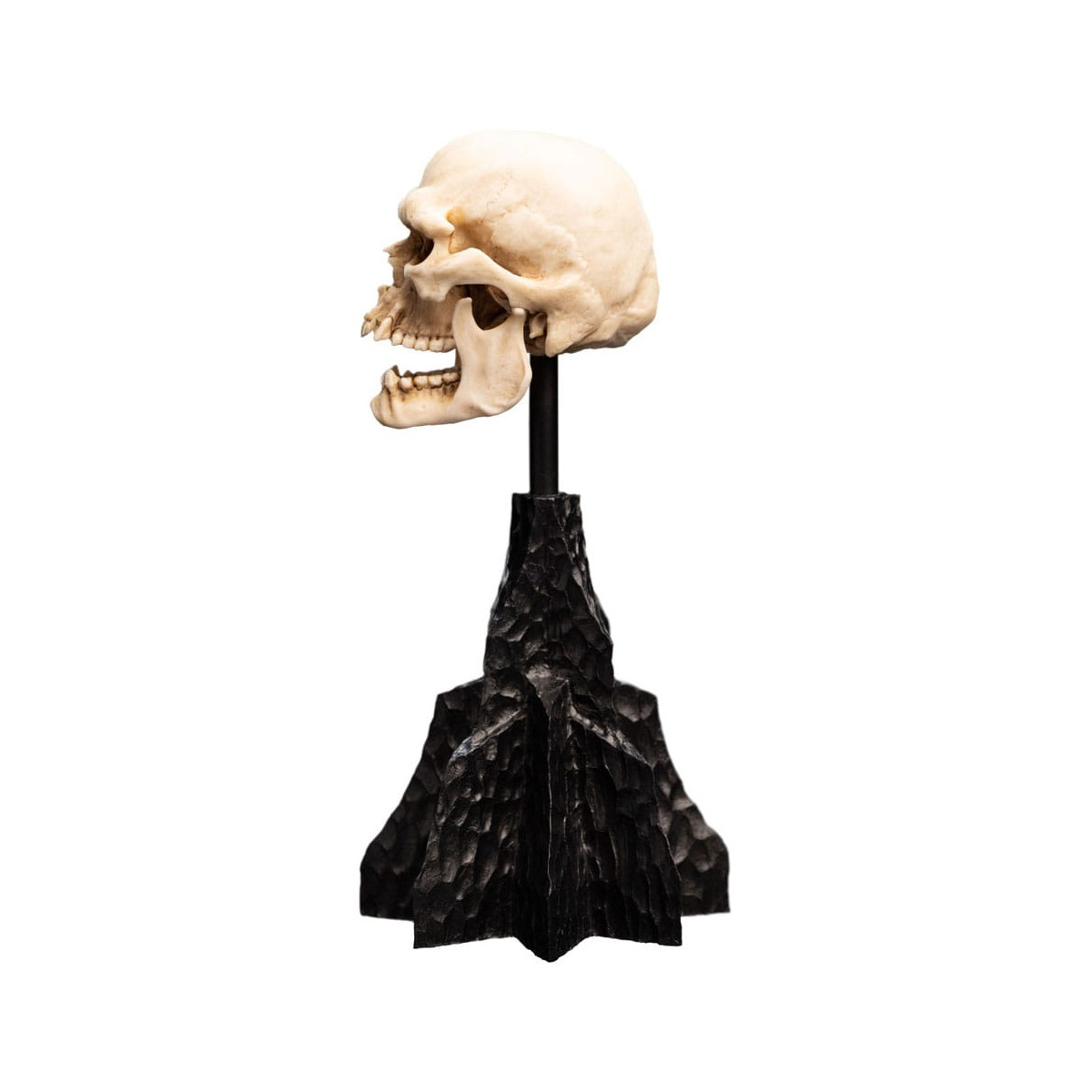 Weta - The Lord of the Rings - Skull of a Mordor Orc - LOTR
