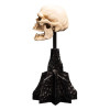 Weta - The Lord of the Rings - Skull of a Mordor Orc - LOTR