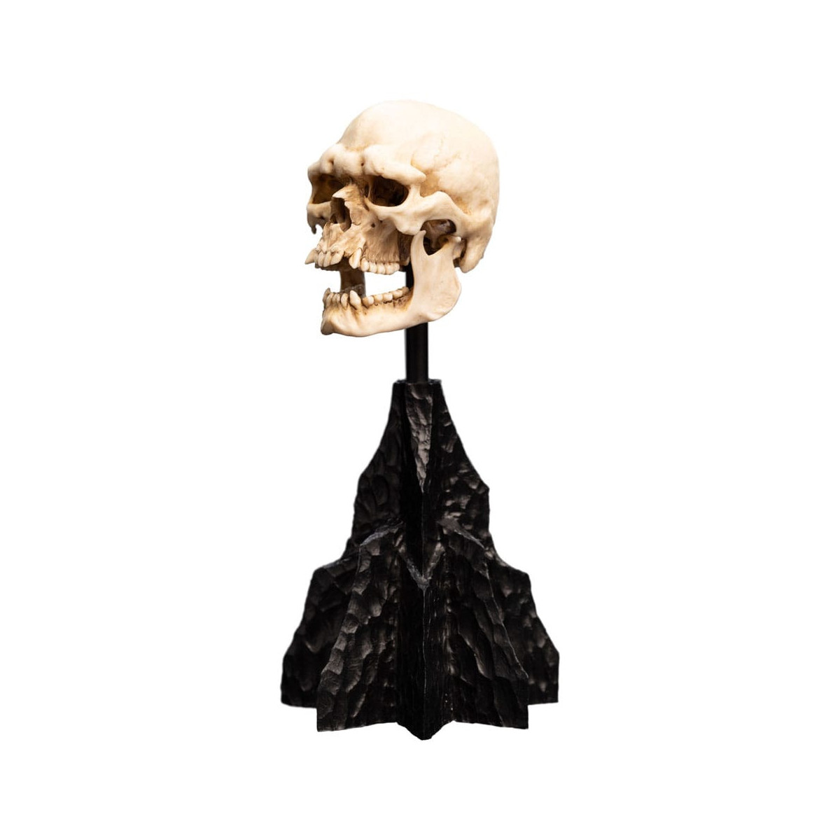 Weta - The Lord of the Rings - Skull of a Mordor Orc - LOTR