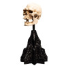 Weta - The Lord of the Rings - Skull of a Mordor Orc - LOTR