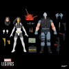 Marvel Legends Series - Madame Masque & Crossbones - Marvel Super-Villains