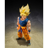Bandai Tamashii - Dragon Ball Z - Super Saiyan Son Goku (Fighter of Rage) - SHF SHFiguarts