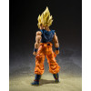 Bandai Tamashii - Dragon Ball Z - Super Saiyan Son Goku (Fighter of Rage) - SHF SHFiguarts