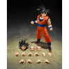 Bandai Tamashii - Dragon Ball Z - Son Goku (The Kind-Hearted Saiyan) - SHF SHFiguarts