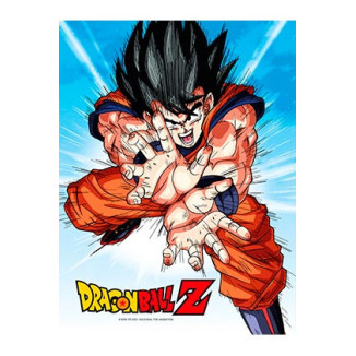 SD Toys - Dragonball Z glass poster "GOKU KAMEHA