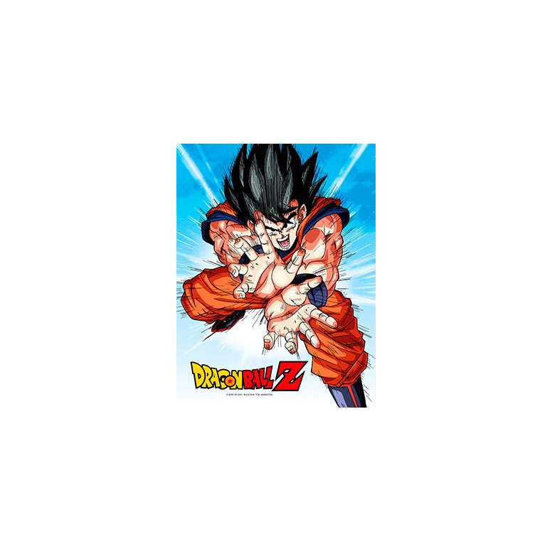 SD Toys - Dragonball Z glass poster "GOKU KAMEHA