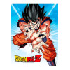 SD Toys - Dragonball Z glass poster "GOKU KAMEHA