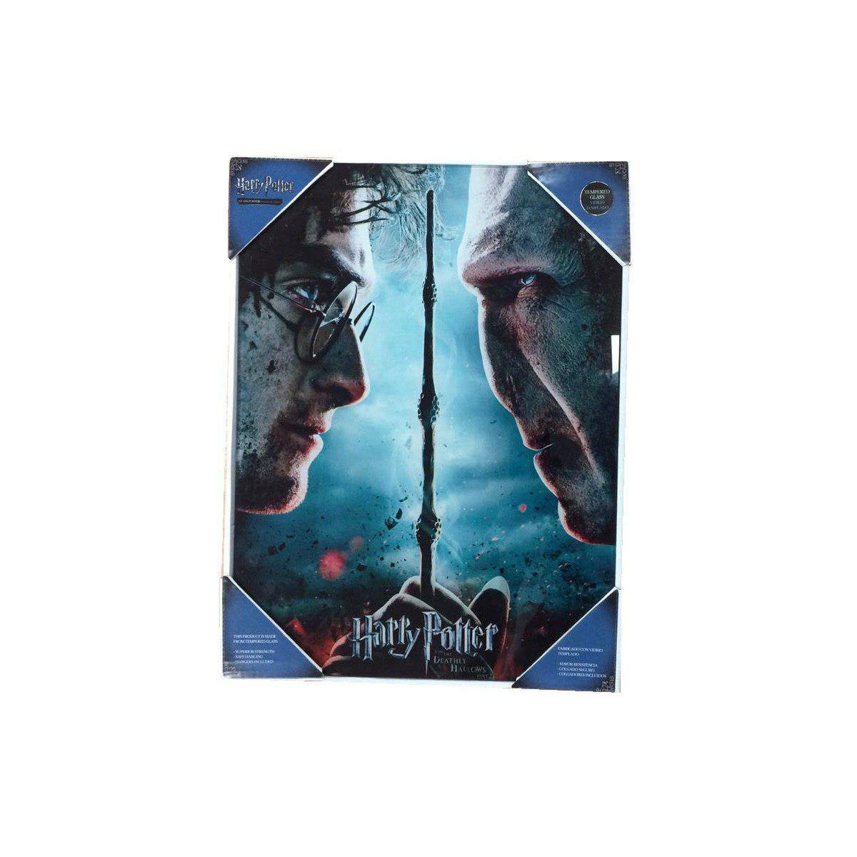 SD Toys - Harry Potter "Harry & Voldemort" glass poster