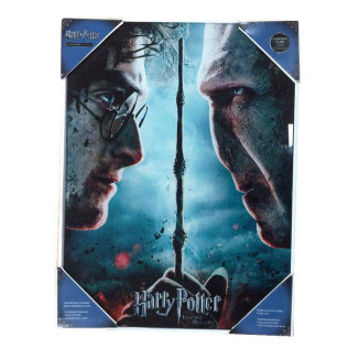 SD Toys - Harry Potter "Harry & Voldemort" glass poster