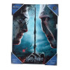 SD Toys - Harry Potter "Harry & Voldemort" glass poster