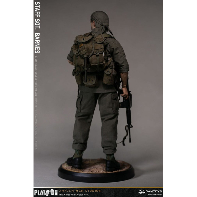DAMTOYS - Platoon - Staff Sergeant Barnes 1/6 Collectible