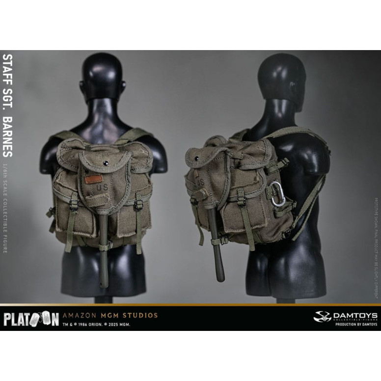 DAMTOYS - Platoon - Staff Sergeant Barnes 1/6 Collectible