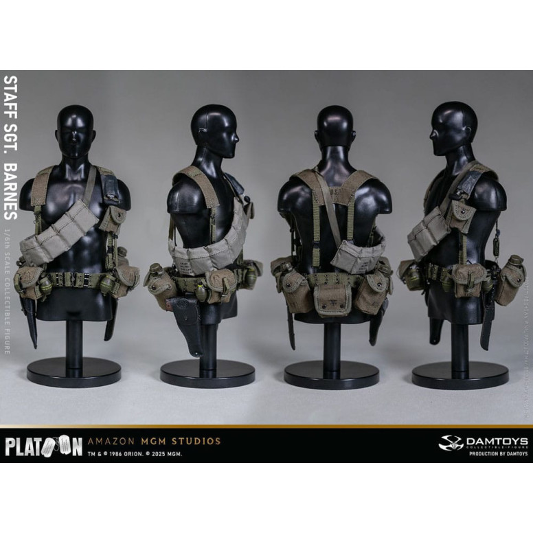 DAMTOYS - Platoon - Staff Sergeant Barnes 1/6 Collectible