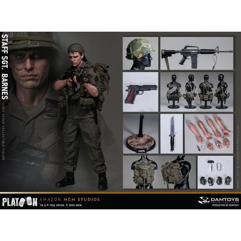 DAMTOYS - Platoon - Staff Sergeant Barnes 1/6 Collectible