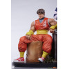PCS - Street Fighter: Street Jam - Cody & Guy 1:10 Scale Statue Set