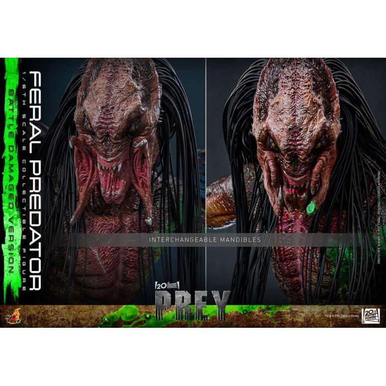 Hot Toys - Feral Predator (Battle Damaged Version) MMS 1/6 - Prey