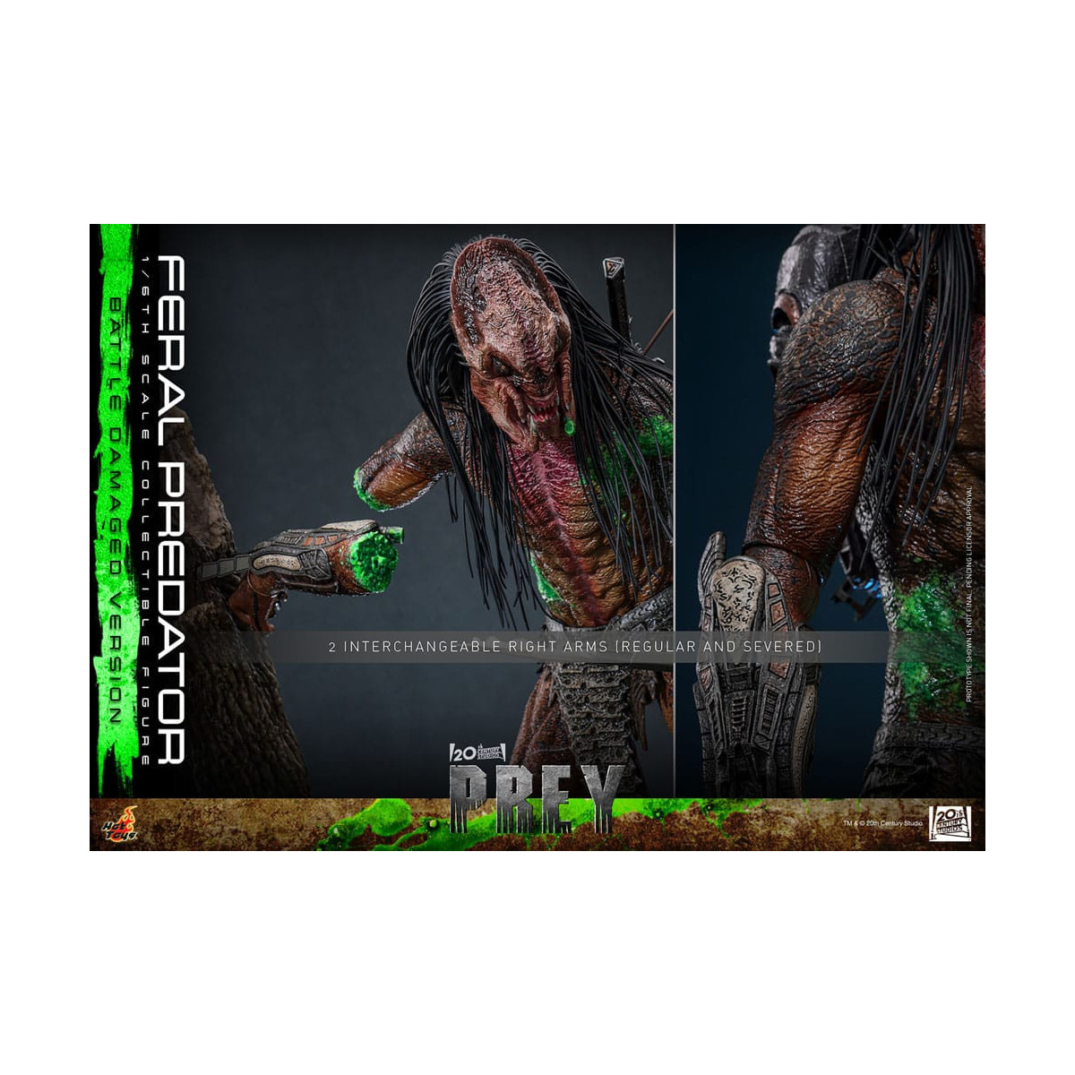 Hot Toys - Feral Predator (Battle Damaged Version) MMS 1/6 - Prey