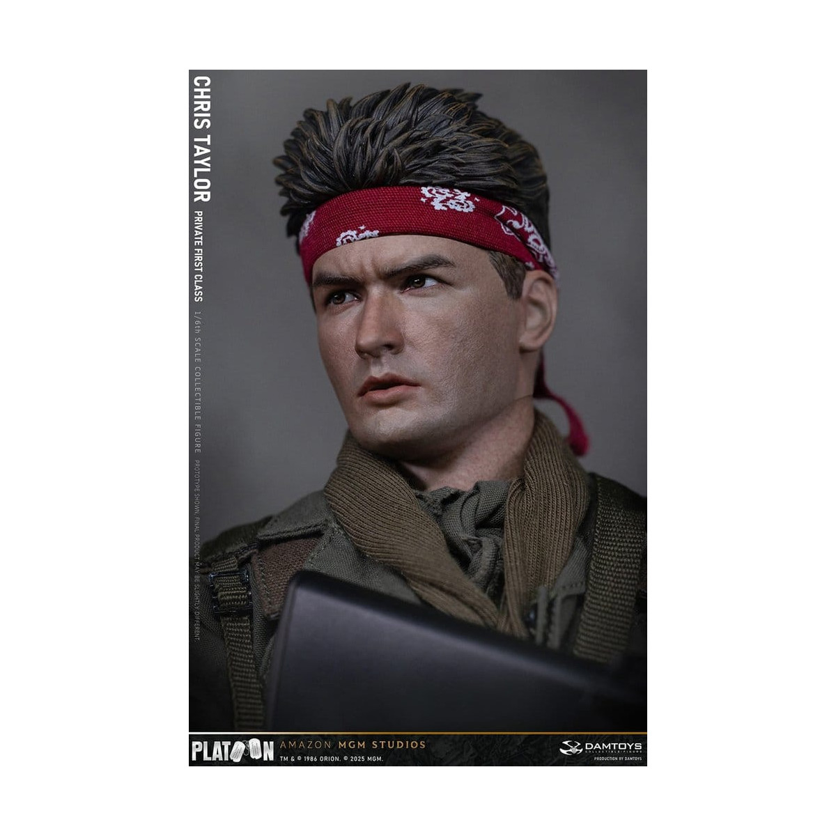 DAMTOYS - Platoon - Chris Taylor 1/6 Collectible