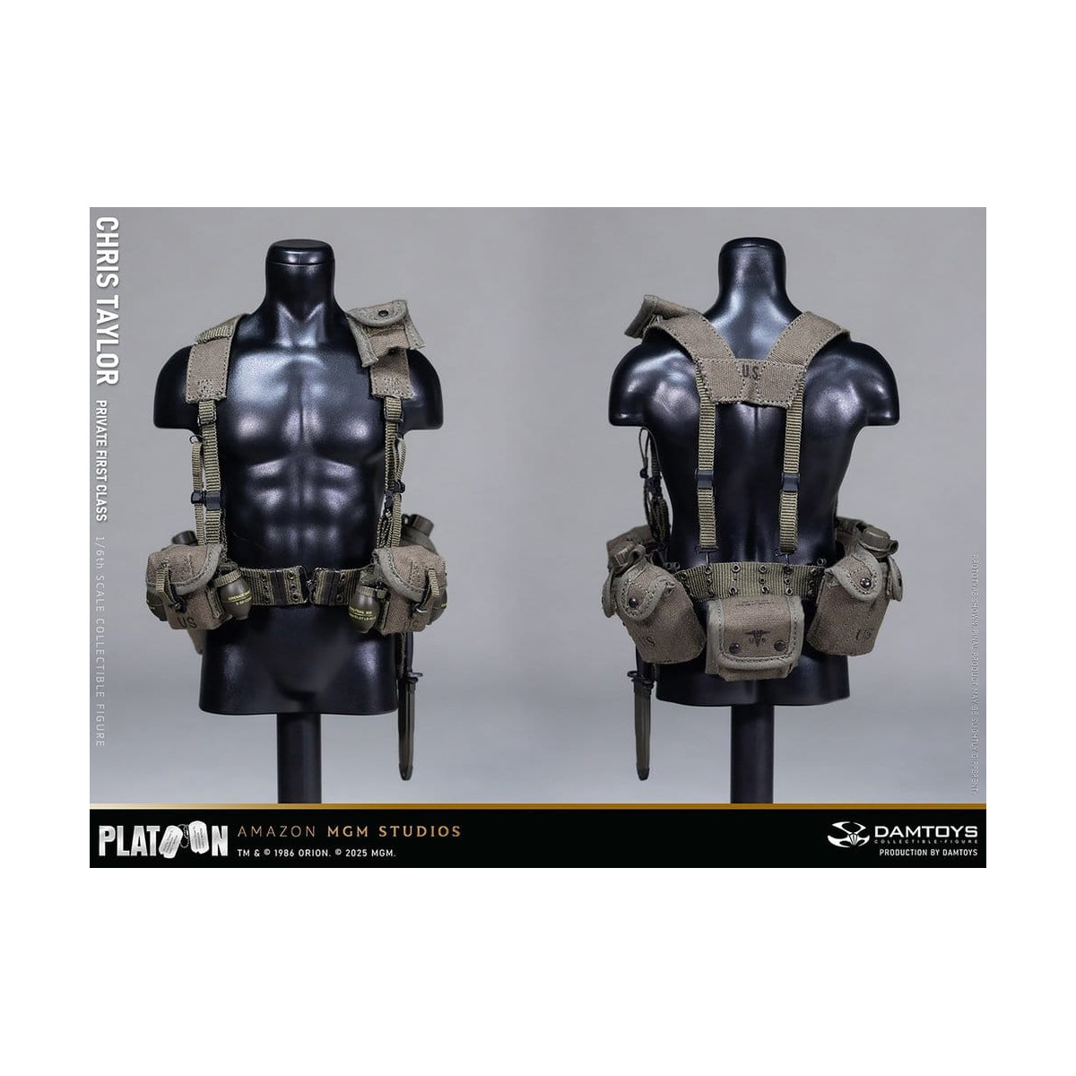 DAMTOYS - Platoon - Chris Taylor 1/6 Collectible