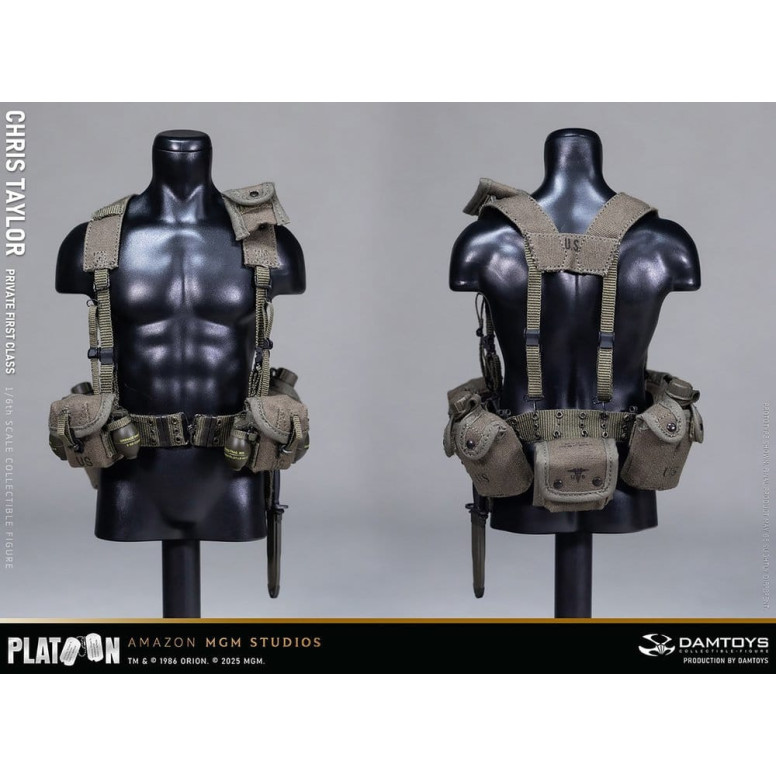 DAMTOYS - Platoon - Chris Taylor 1/6 Collectible