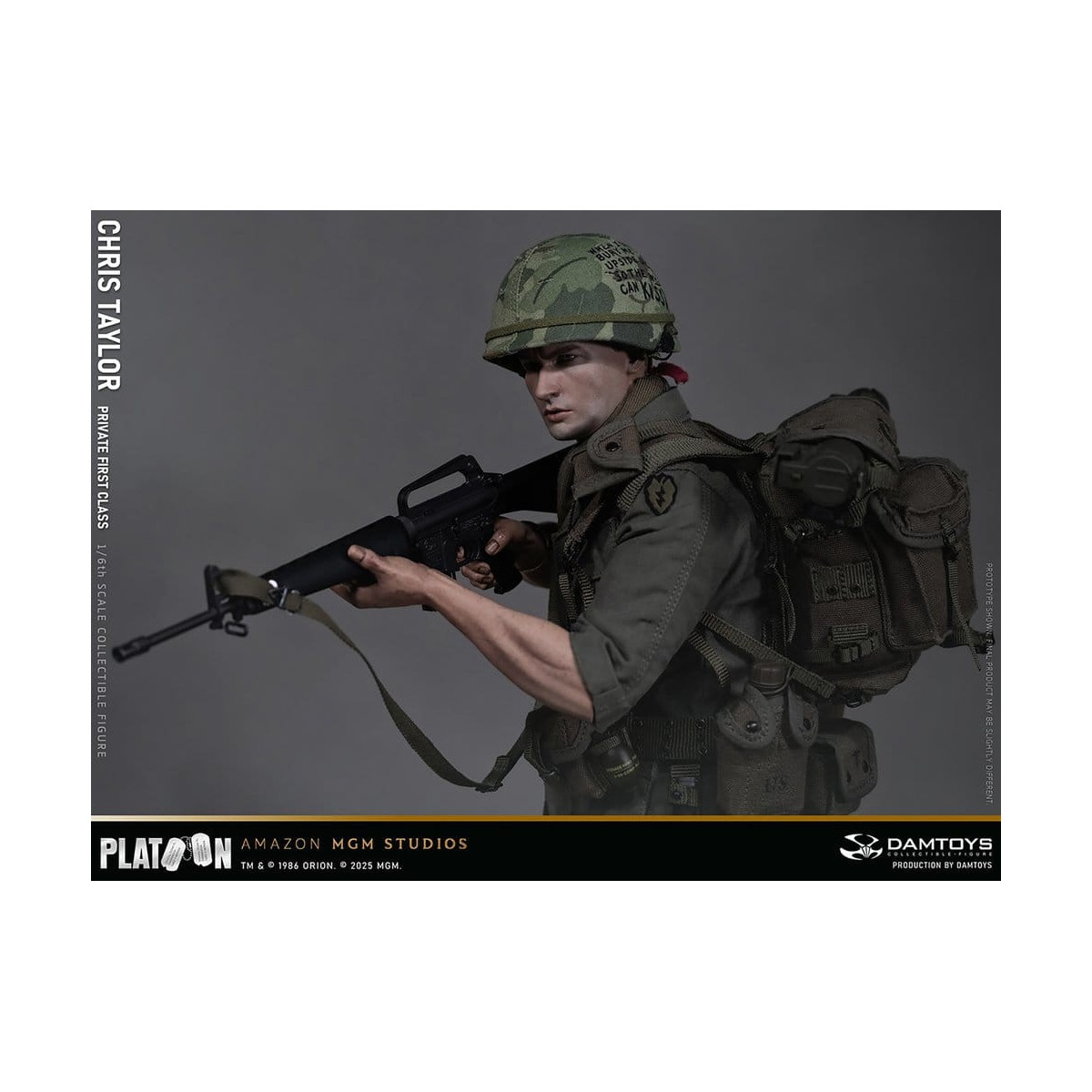DAMTOYS - Platoon - Chris Taylor 1/6 Collectible