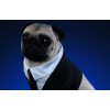 INFINITY STUDIO - FRANK Life-Size 1/1 - Men in Black