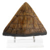 Toynami ECC Elite Creature Collectibles - Triceratops Spike Prop - Jurassic Park