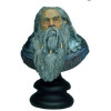 Weta -  Bust Darwen Lord 1/4 - Lord of the Rings - Second-hand