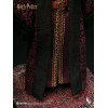 INART - Albus Dumbledore Deluxe Version 1/6 Scale Collectible Figure - Harry Potter and the Chamber of Secrets