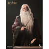 INART - Albus Dumbledore Deluxe Version 1/6 Scale Collectible Figure - Harry Potter and the Chamber of Secrets