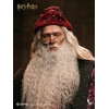 INART - Albus Dumbledore Deluxe Version 1/6 Scale Collectible Figure - Harry Potter and the Chamber of Secrets