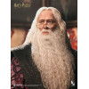 INART - Albus Dumbledore Premium Version 1/6 Scale Collectible Figure - Harry Potter and the Chamber of Secrets